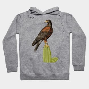 Harris Hawk Hoodie